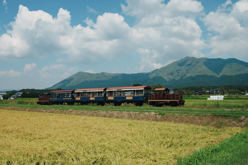 (截止)阿蘇慢旅一日遊(指定包團)｜復古列車・茶道・草原