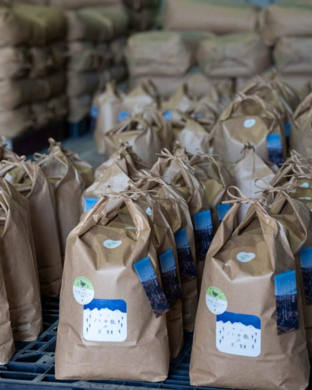 日本米品種「農林48號」收穫後包裝成米袋整齊排列，象徵今井農園八岳米的產地品牌與農業故事。
