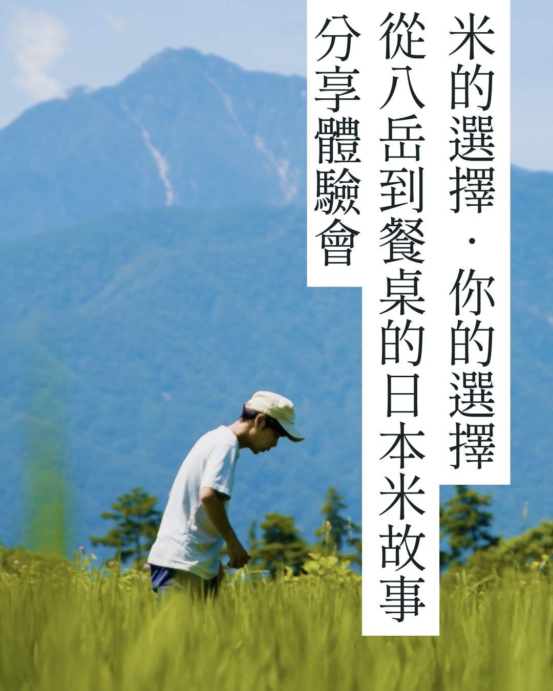 今井農園以八岳湧水栽培的日本米，手捧新米展示米粒質地，呈現產地與食物之間的連結。